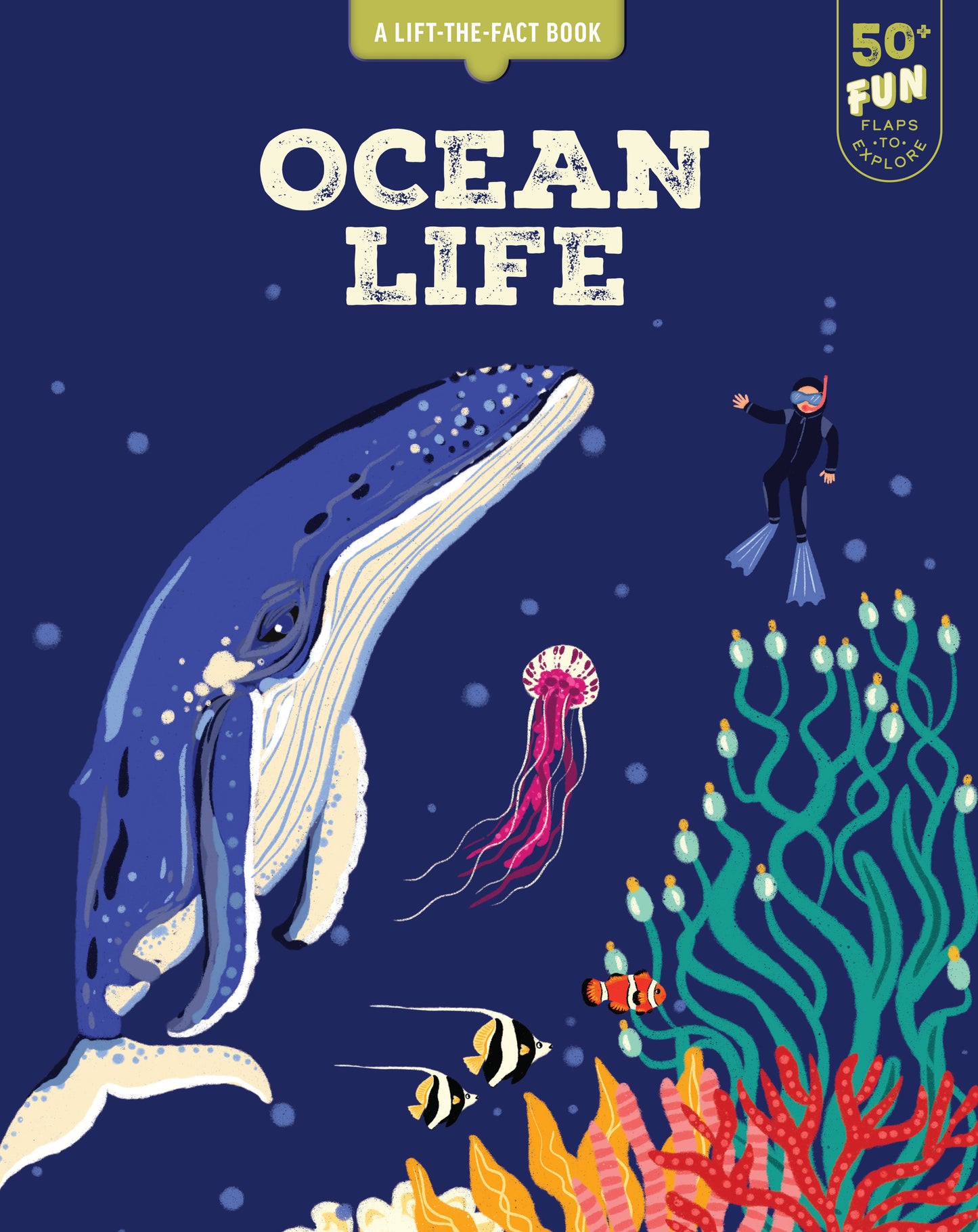 A Lift-the-Fact Book: Ocean Life