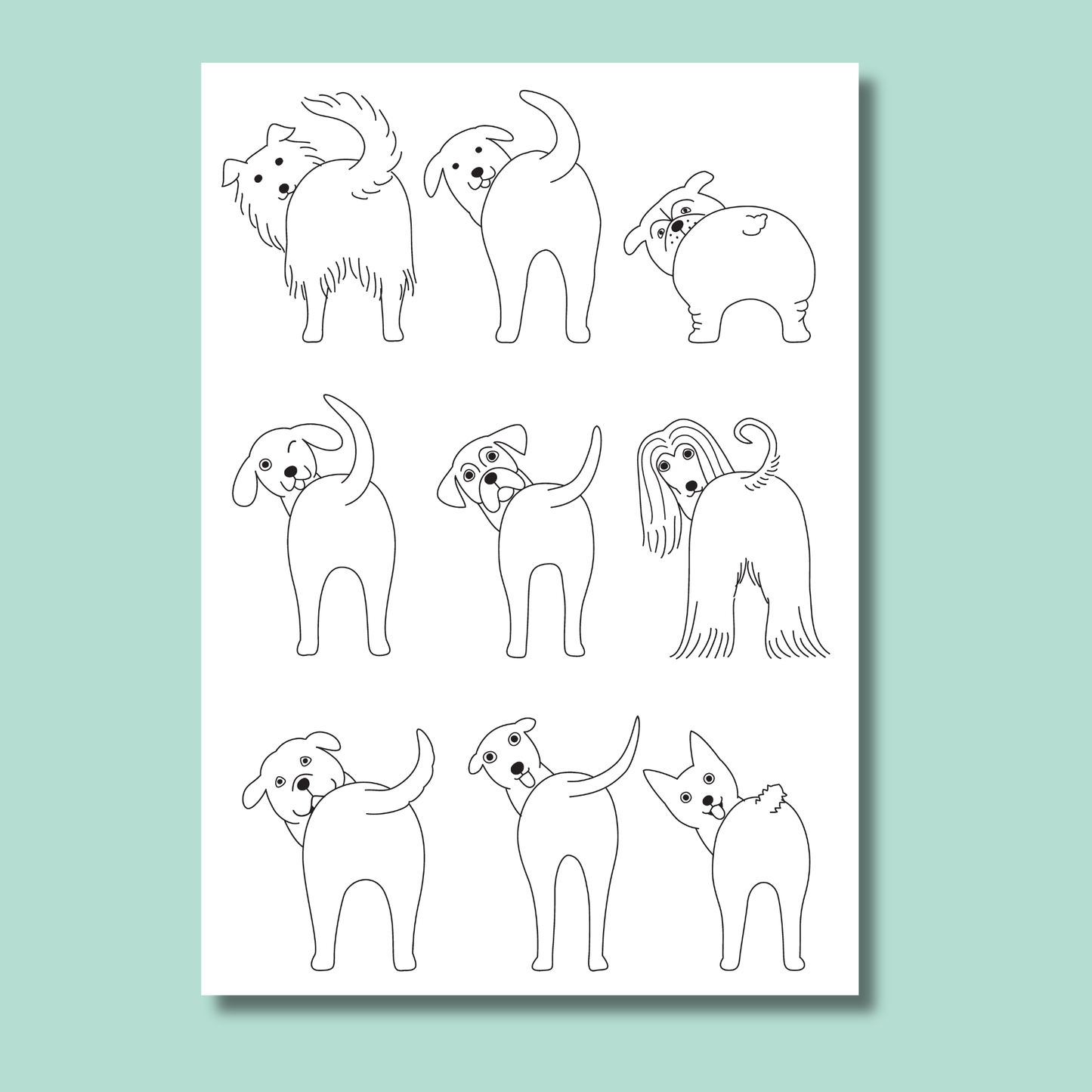 Pug & Friends Colouring Book