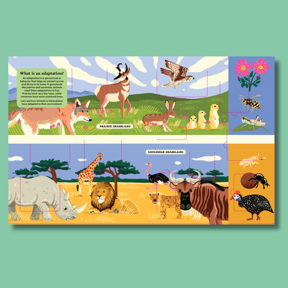 A Lift-the-Fact Book: Animals