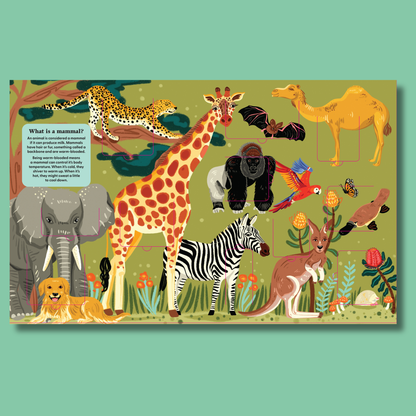 A Lift-the-Fact Book: Animals
