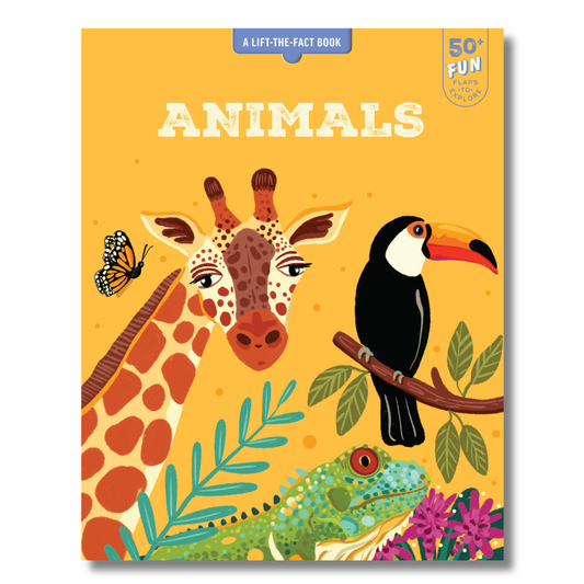 A Lift-the-Fact Book: Animals
