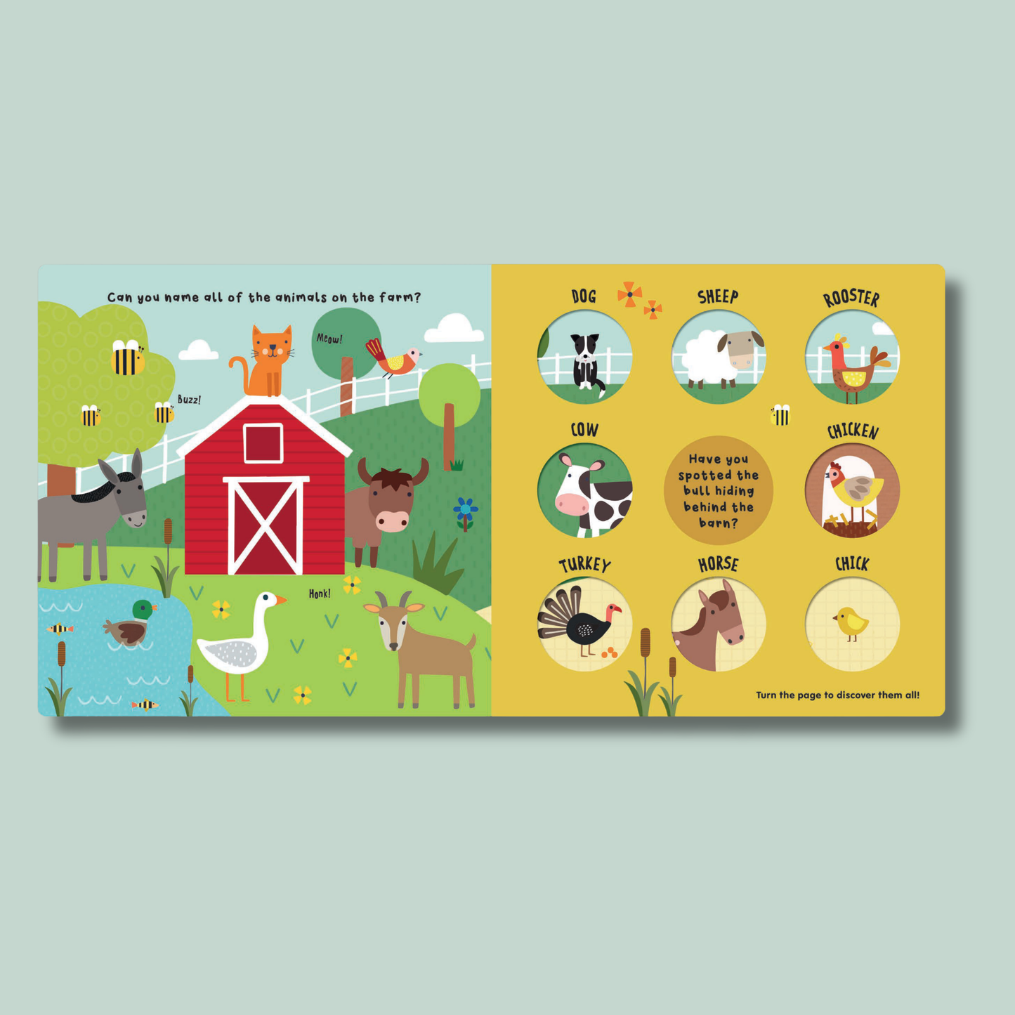 Turn & Learn: Animals All Around