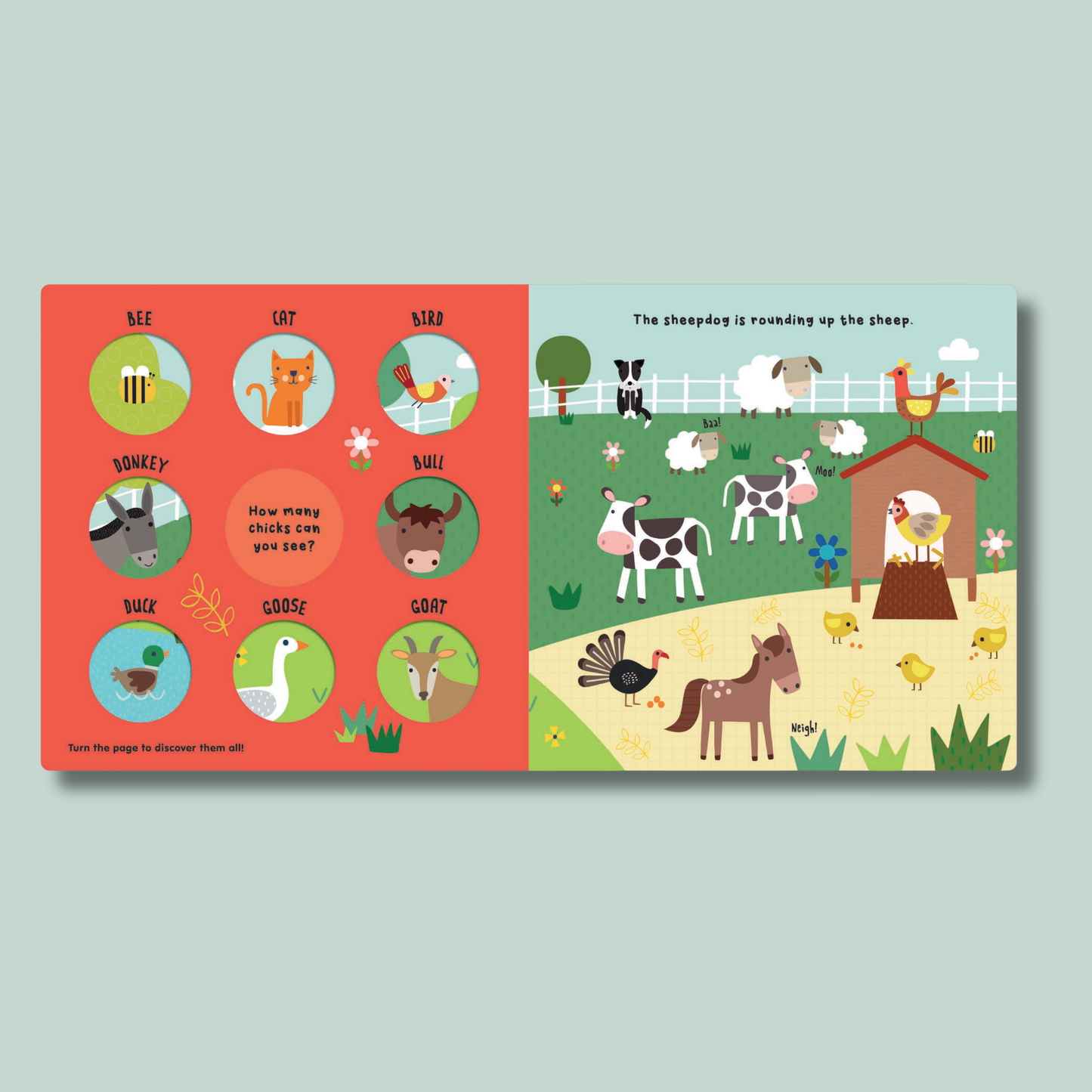 Turn & Learn: Animals All Around