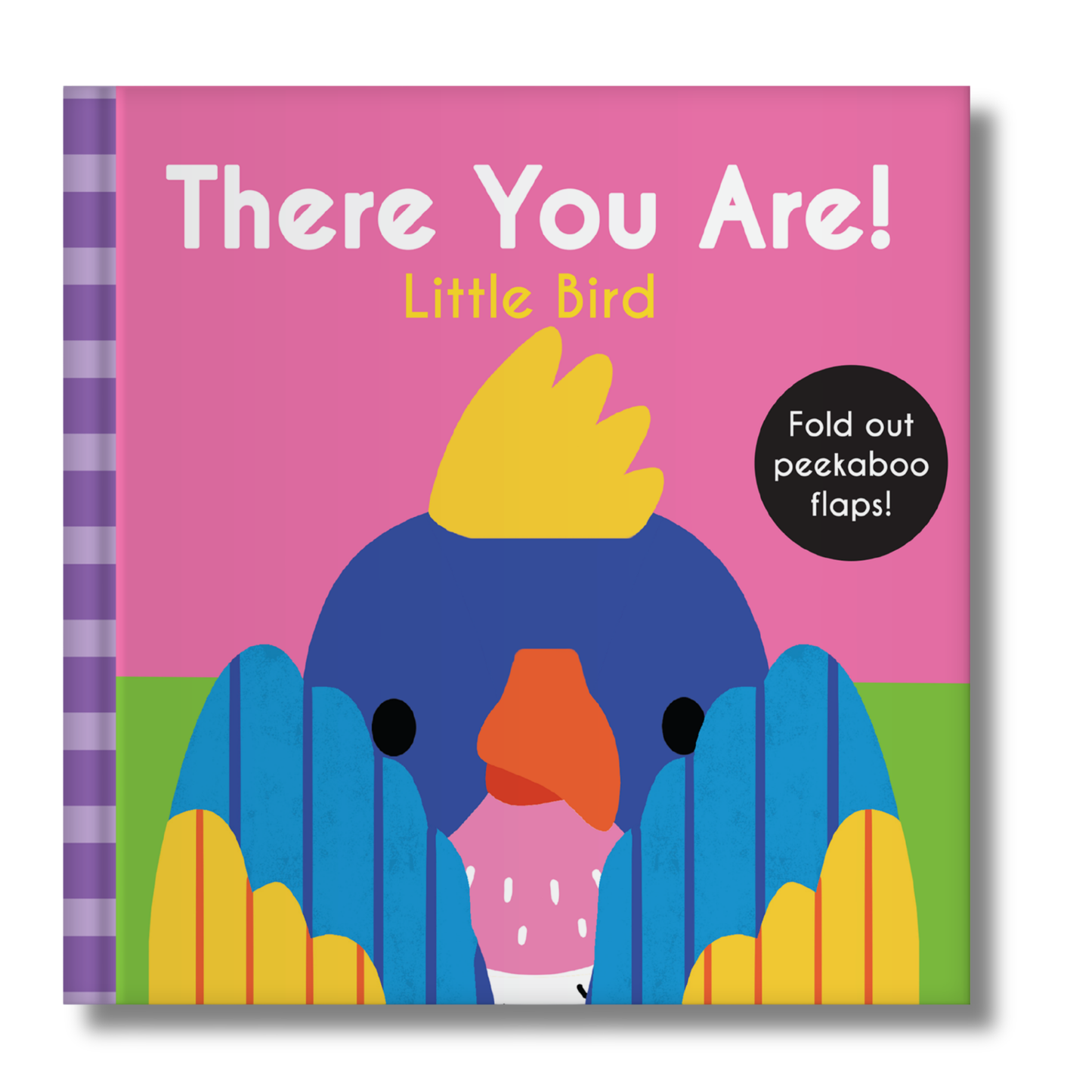 There You Are: Little Bird