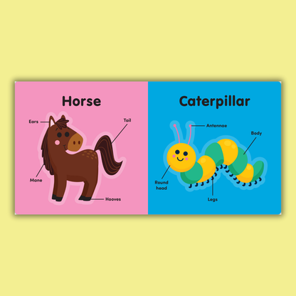 Big Block Books: Animals