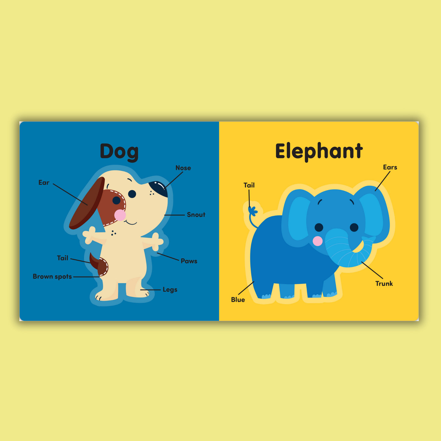Big Block Books: Animals