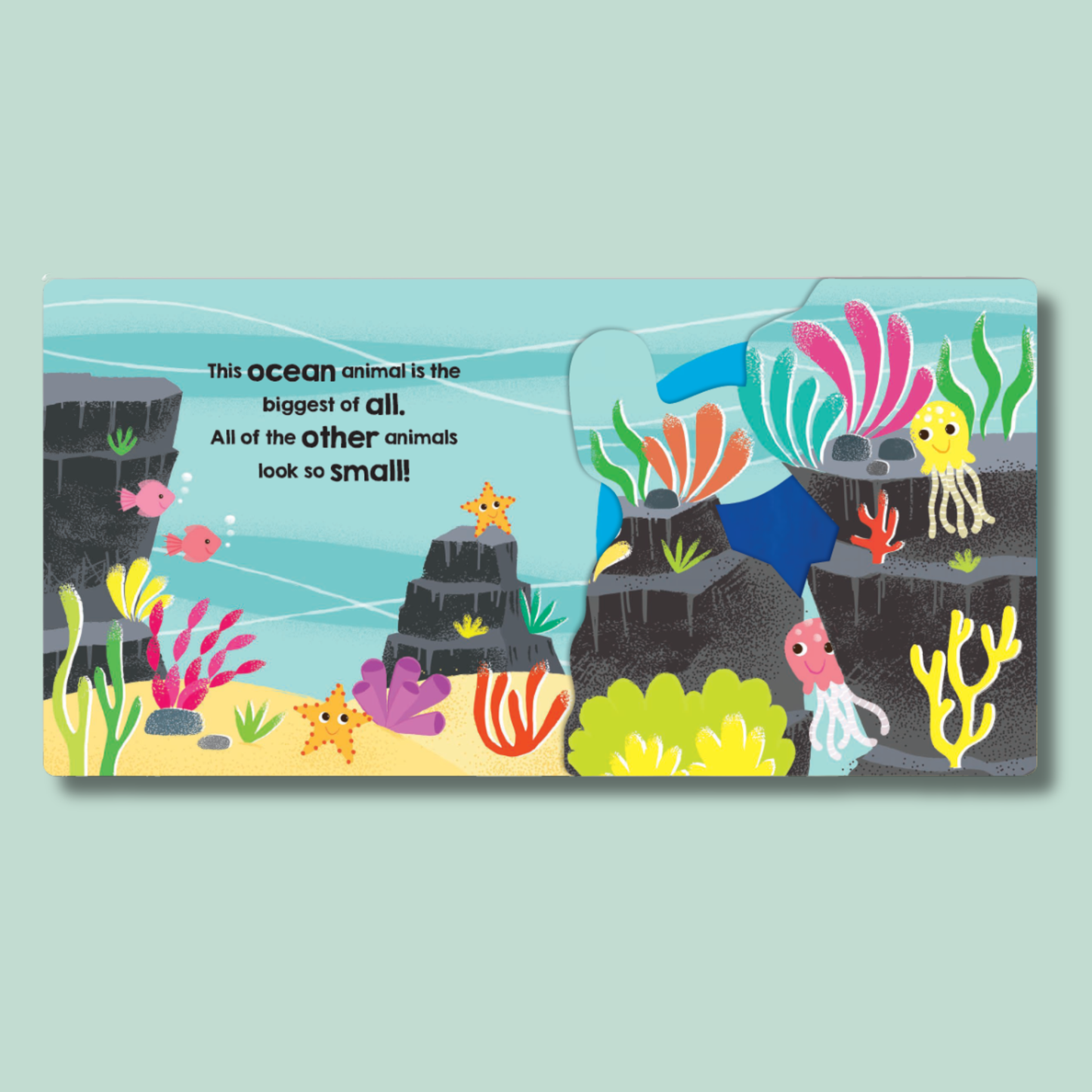 Flip and Find: Ocean Animals