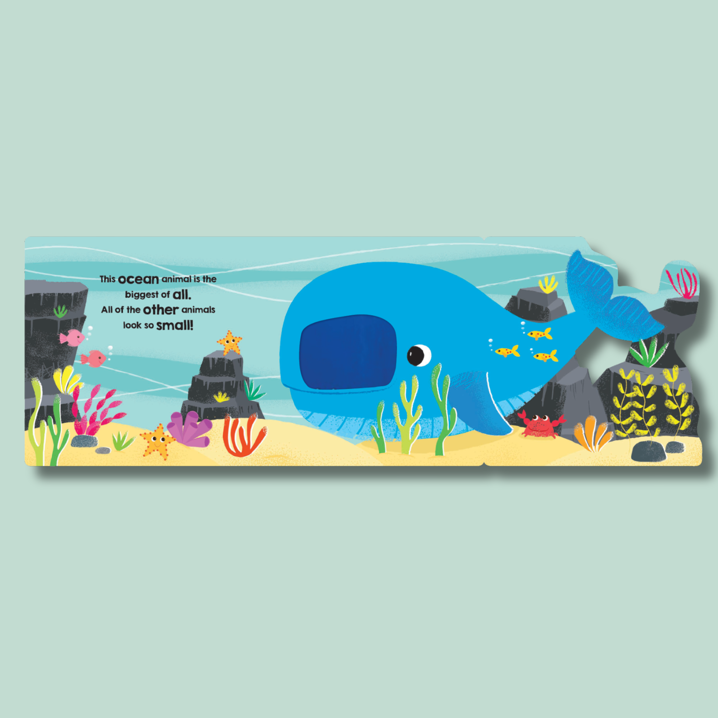 Flip and Find: Ocean Animals