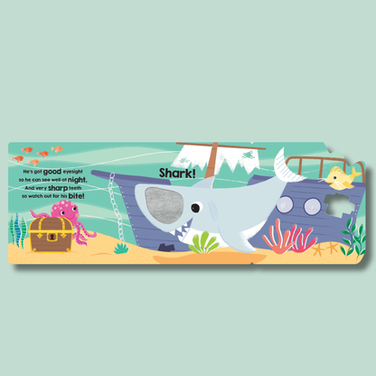 Flip and Find: Ocean Animals