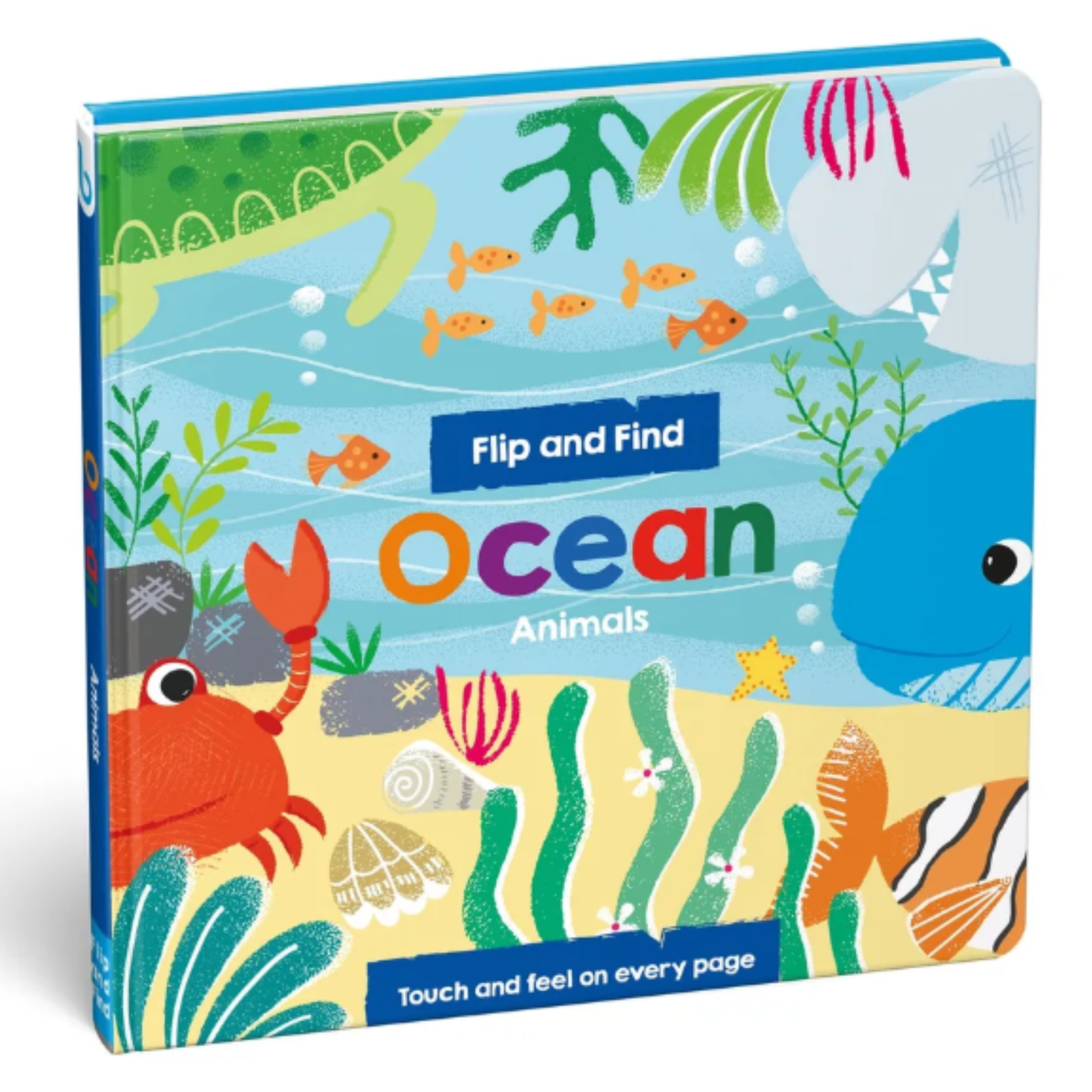 Flip and Find: Ocean Animals
