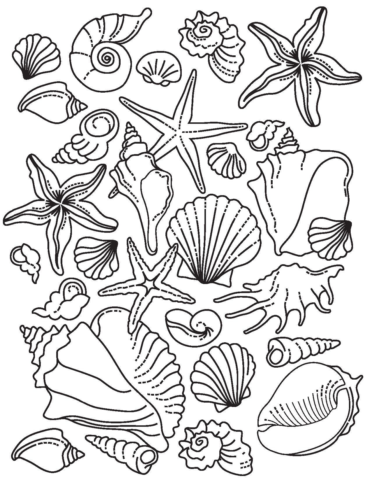 Ocean Wonders Colour and Scratch Book