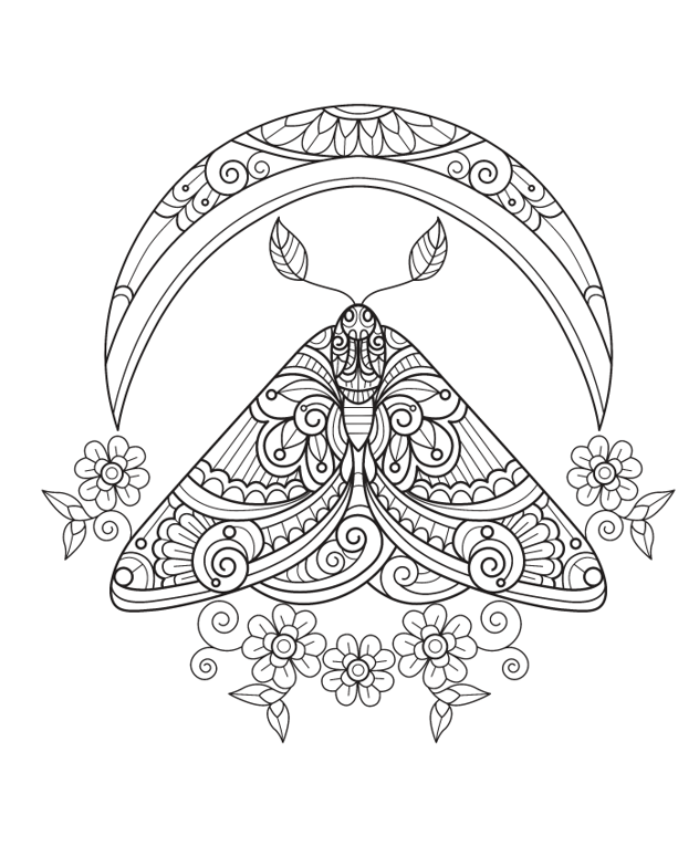 Daydreams Adult Colouring Set