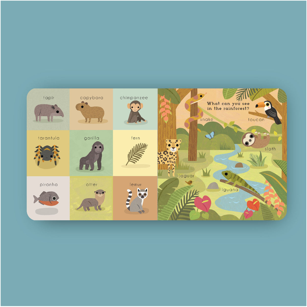 Baby Play: Rainforest