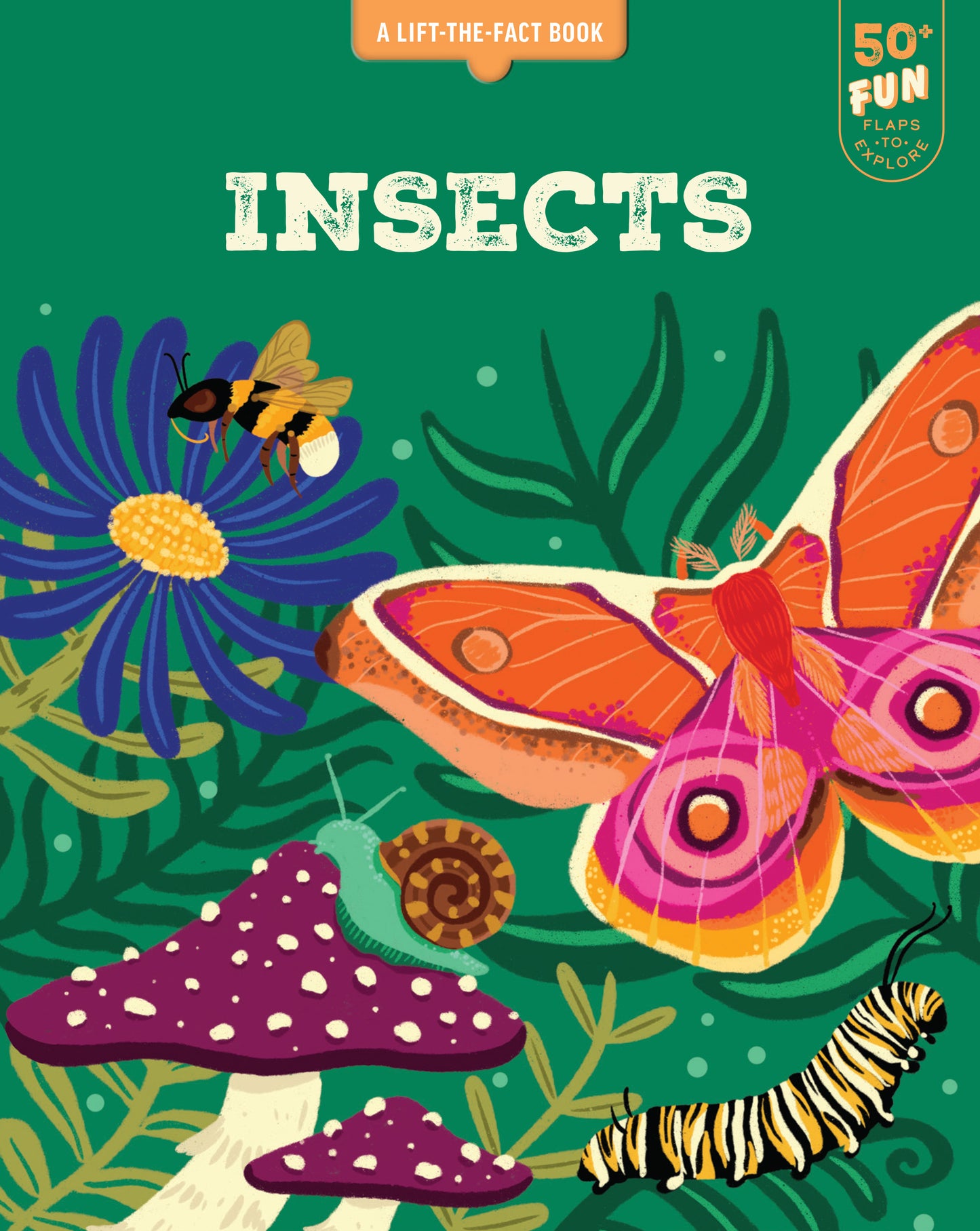 A Lift-the-Fact Book: Insects