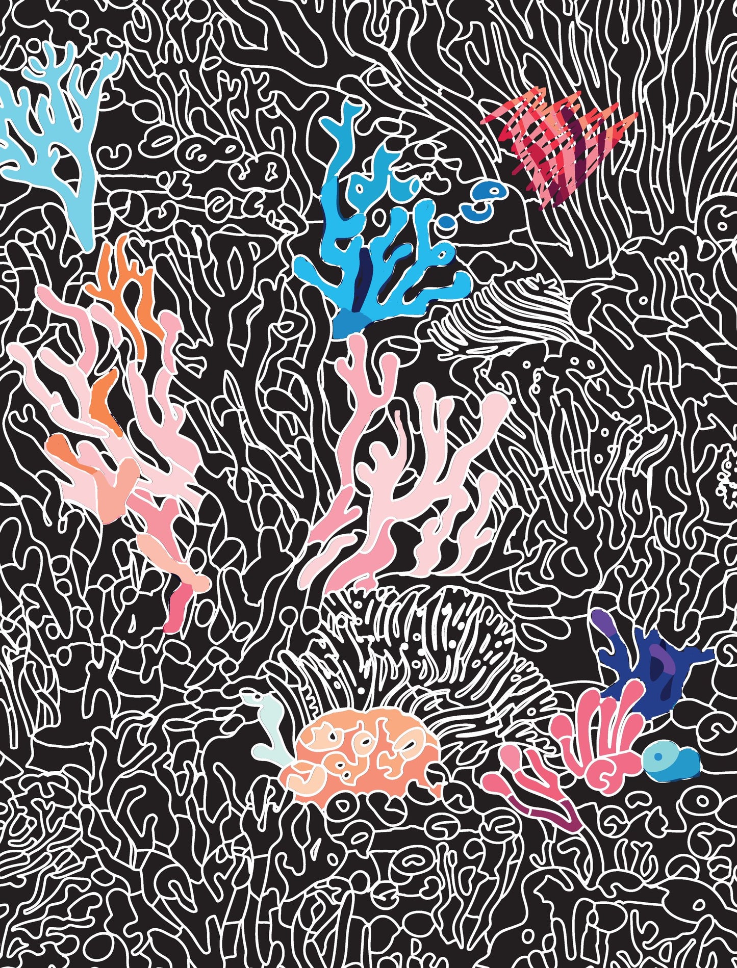 Ocean Wonders Colour and Scratch Book